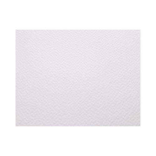 Karton wizytówkowy A4 200g Sawanna biały (20)