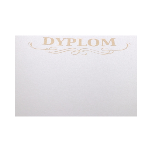 Teczka ozdobna diamentowa biel Millenium Dyplom (5)