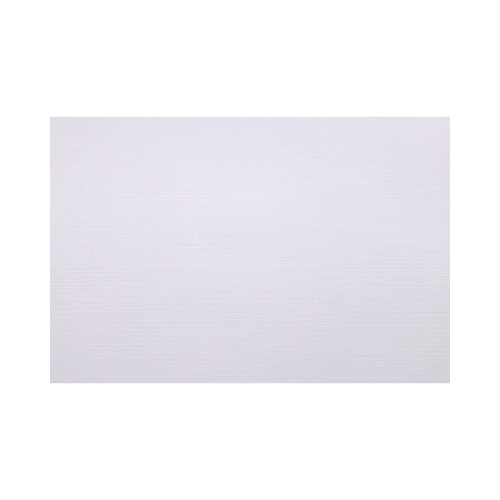 Karton wizytówkowy A4 100g Holland/biały (50)