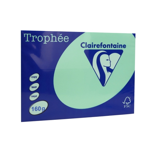 Papier ksero A4 160g zieleń naturalna Trophee 1120