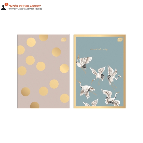 Brulion B5/160 kratka metallic Satin Gold Interdruk