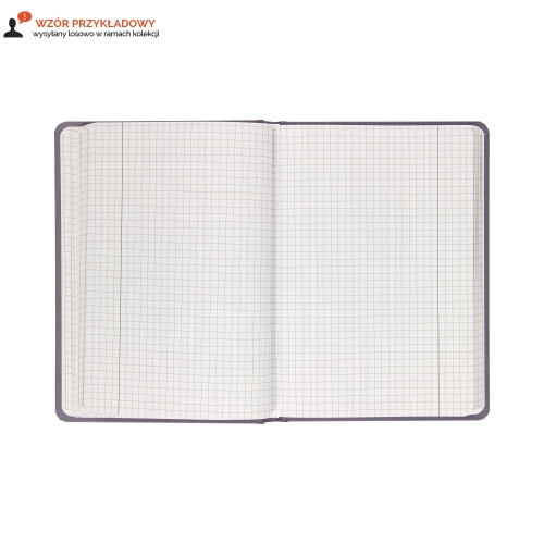 Brulion A5/96 kratka Academy Interdruk 90g