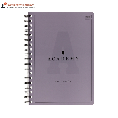 Kołozeszyt B5/100 kratka Academy Interdruk 90g