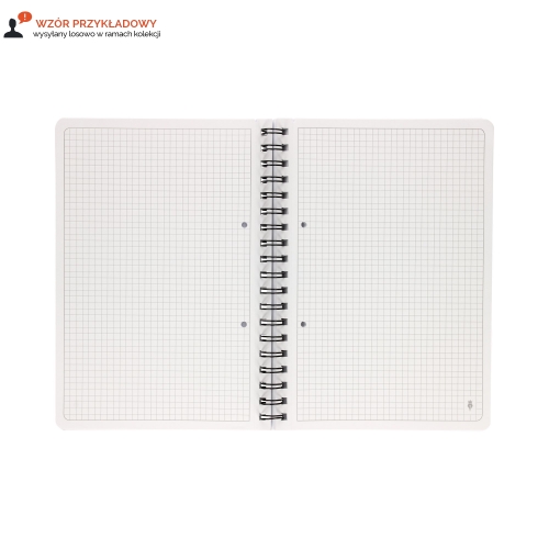 Kołozeszyt B5/100 kratka Academy Interdruk 90g