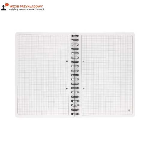 Kołozeszyt B5/100 kratka Academy pastel Interdruk 90g