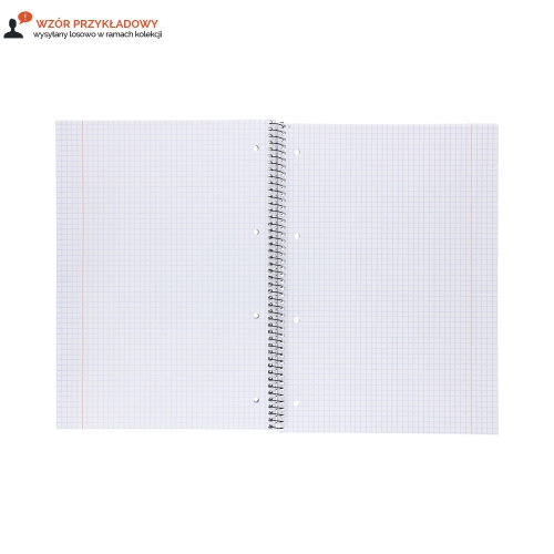 Kołozeszyt A4/80 kratka z perforacją Garden Interdruk 70g