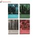 Zeszyt A5/60 kratka Botany Top2000 400182432 [3]
