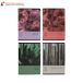 Zeszyt A5/96 kratka Botany Top2000 400182448 [3]