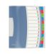 Teczka segregująca A4/12p Vivida Esselte 624030 [1]