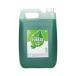 Płyn naczyń 5l Pureza Mint Idea Home [1]