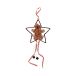Dekoracja świąteczna zawieszka gwiazda/piernik Brewis [1]