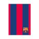 Teczka gumka A4 FC Barcelona Astra [1]