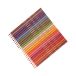 Kredki ołówkowe 24kol Tropicolor BicEvolutio 832568 [2]