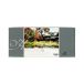 Farby akrylowe 12ml 12kol  812B Maries [1]