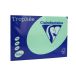 Papier ksero A4 160g zieleń naturalna Trophee 1120 [1]