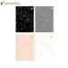 Brulion A4/96 kratka metallic Dreams Interdruk [2]