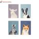 Zeszyt A5/16 kratka kolor Sweet Animal Top2000 400169483 [3]